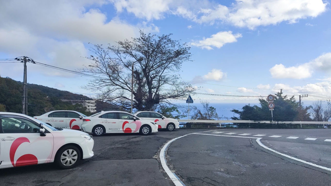 Học lái xe ở trường MAGIO ATAMI và những trải nghiệm “TUYỆT CÚ MÈO” 