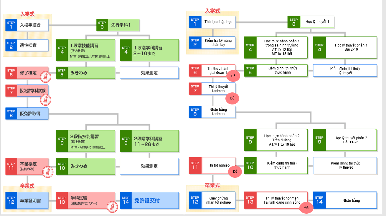 Quy trình học bằng lái xe