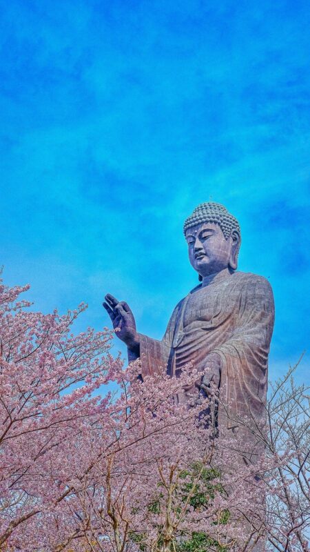 Going for a driving camp in Tomobe offer easy access to tourist destinations such as the great Buddha statue